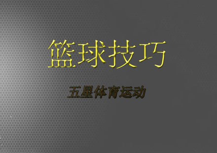 哪里可以找到篮球训练的模范案例_2